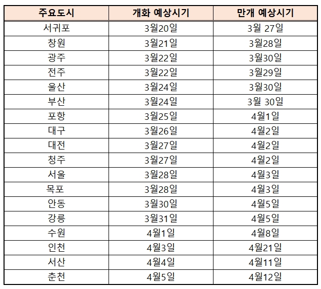 2023 벚꽃 개화시기