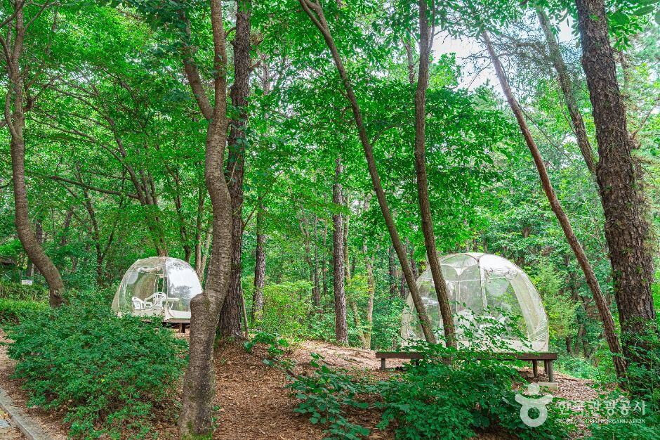 의정부 가볼만한곳 베스트 10