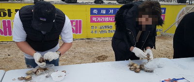 남당항새조개축제