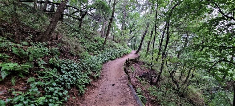 걷기 좋은 숲속 오솔길