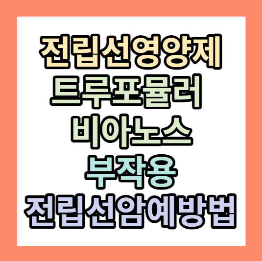 전립선영양제 <트루포뮬러 비아노스> 추천
