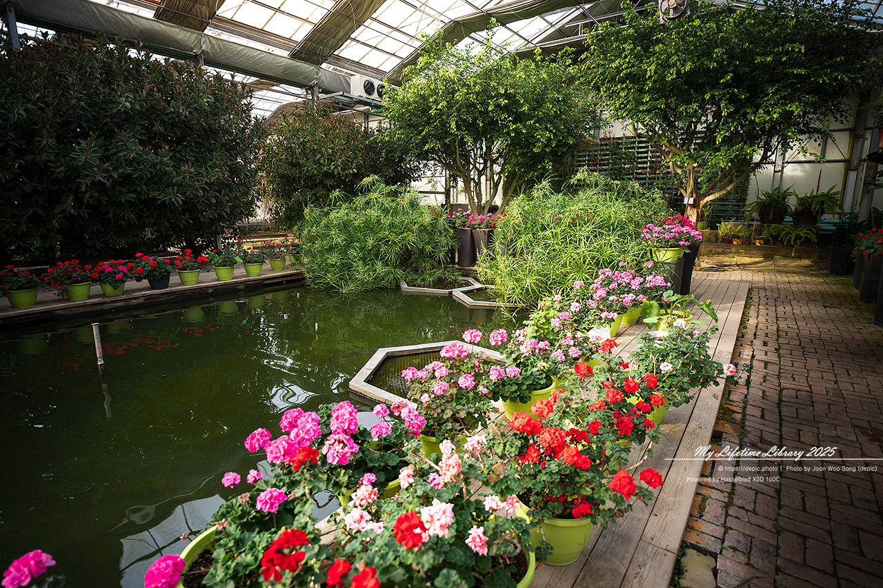 식물원 아산 세계꽃식물원 온실 꽃