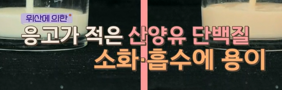 산양유 단백질 효능
