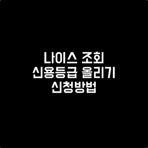 나이스신용등급