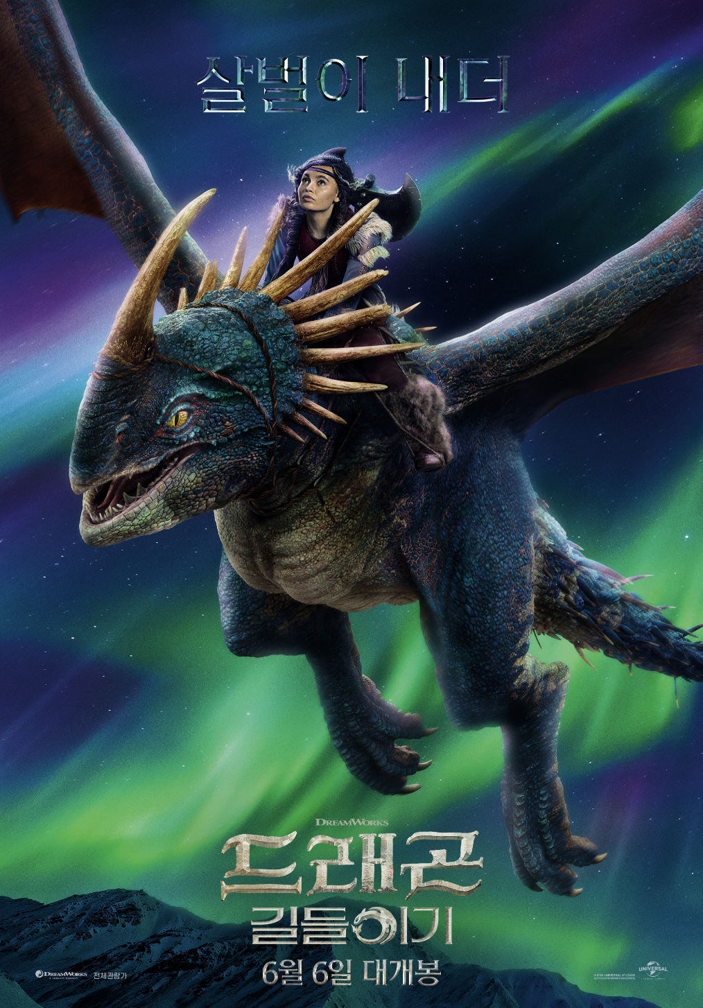 드래곤 길들이기 포스터 내더