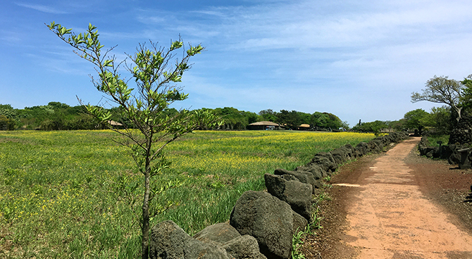제주돌문화공원(9)