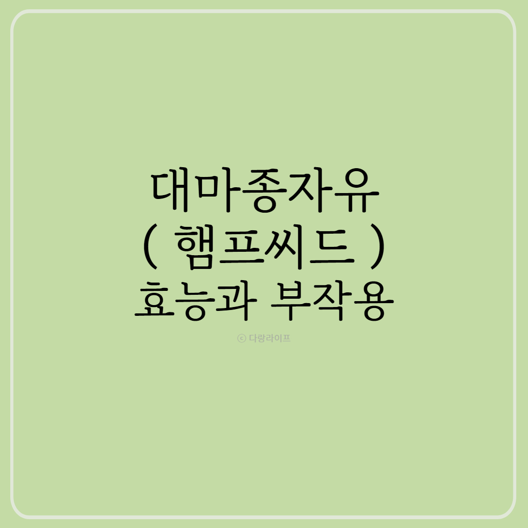 대마종자유 햄프씨드 효능 부작용 먹는방법