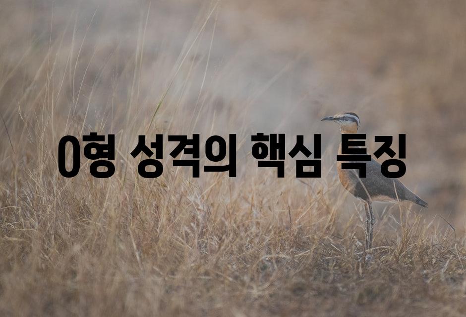 O형 성격의 핵심 특징