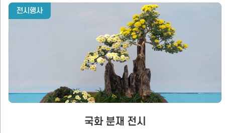 2024 화순 고인돌 가을꽃축제