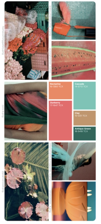 2025년 올해의컬러