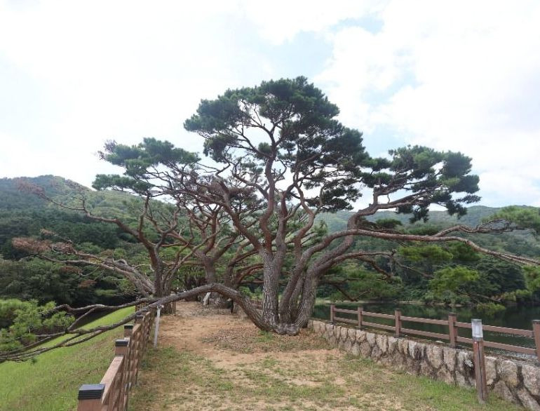 법기수원지