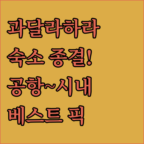 과달라하라 여행의 시작과 끝 공항 근..