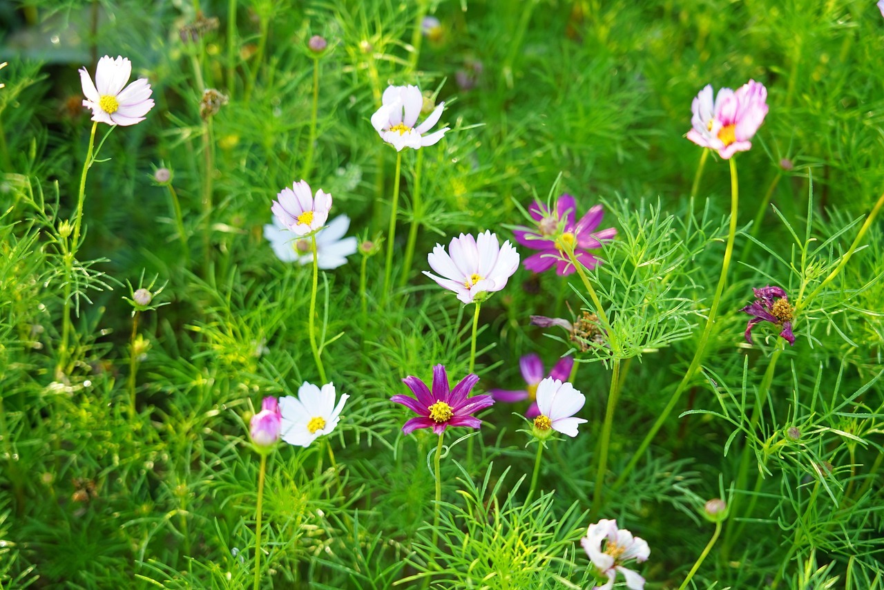 용인 가볼만한 곳 한택식물원 입장료
