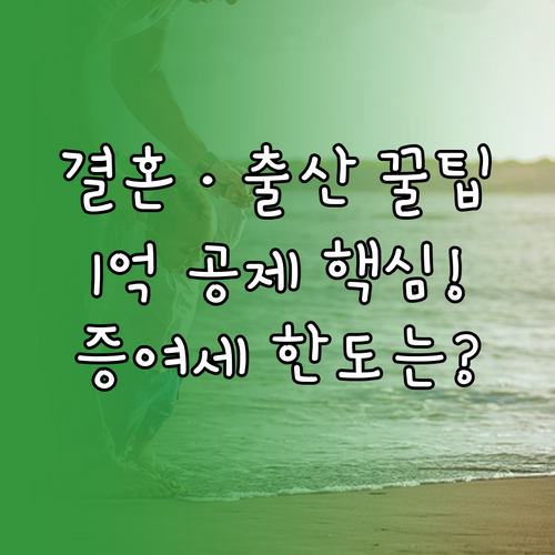 결혼 출산 증여세 공제 1억 원 평생..