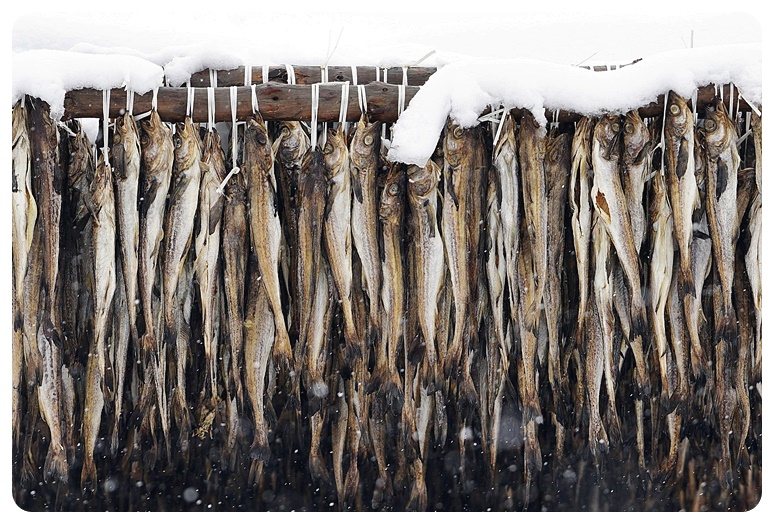 명태와 함께 먹으면 좋은 음식