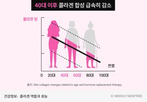 분말 콜라겐