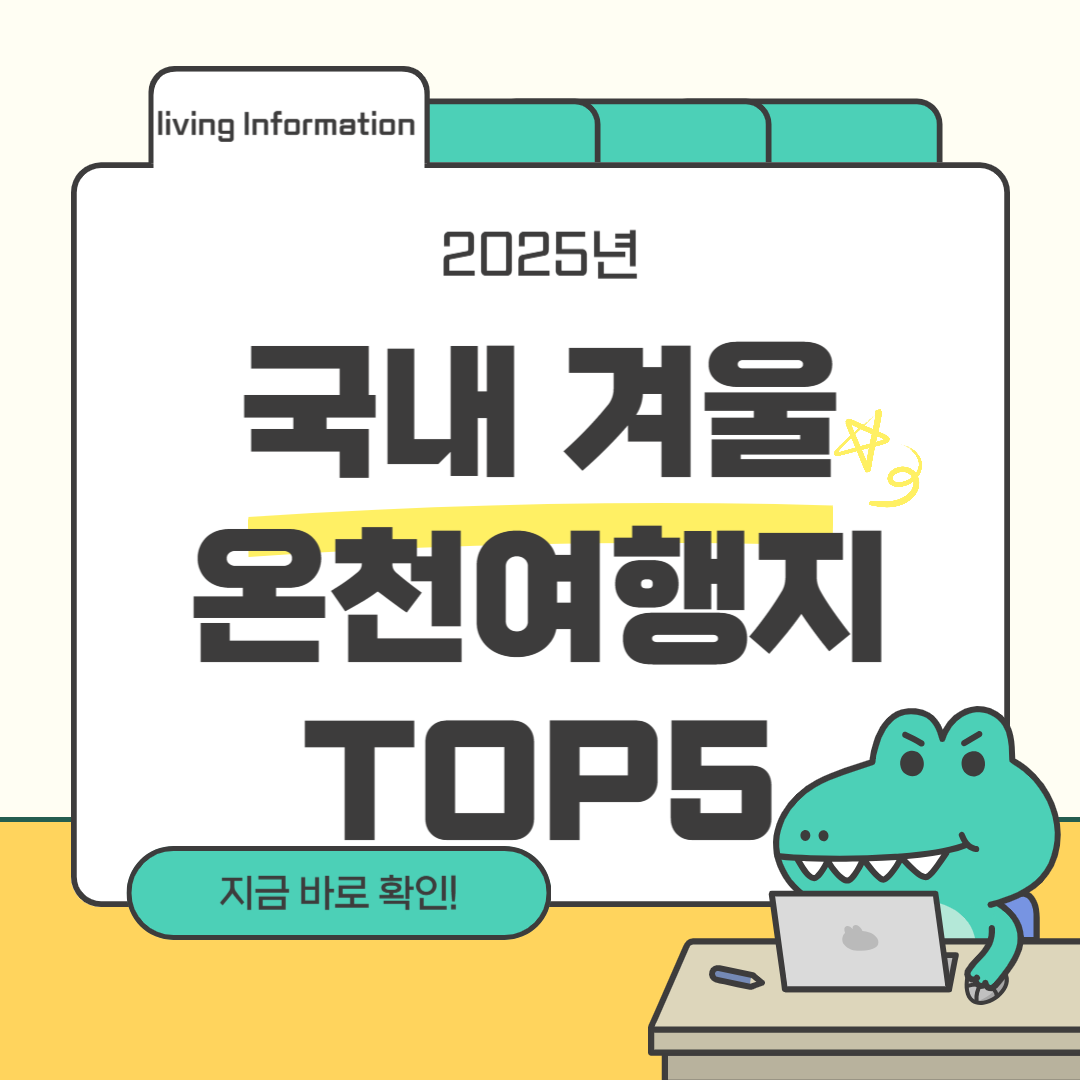 2025 국내 겨울 온천여행지 추천