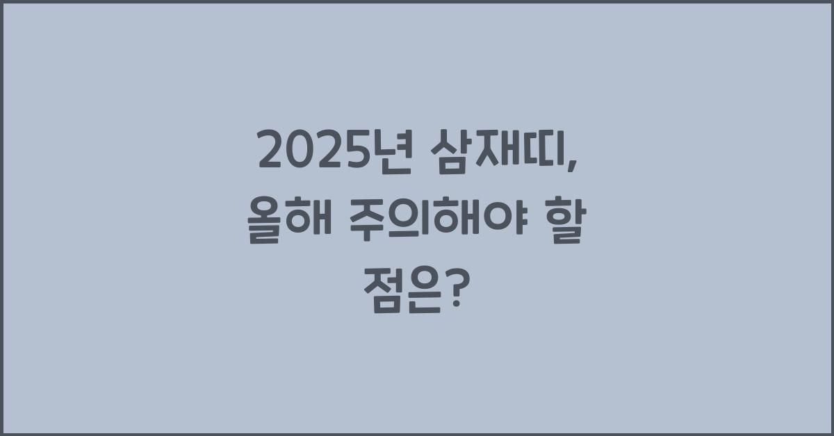 2025년 삼재띠