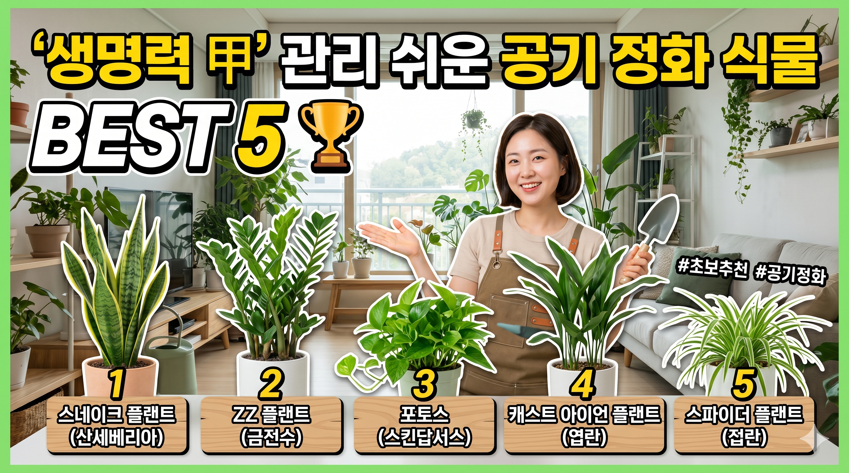 관리하기 편한 '생명력 갑' 실내 공기 정화 식물 TOP 5