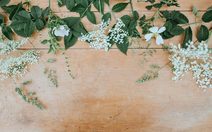 2025년 국세청 미수령 환급금 조회 방법