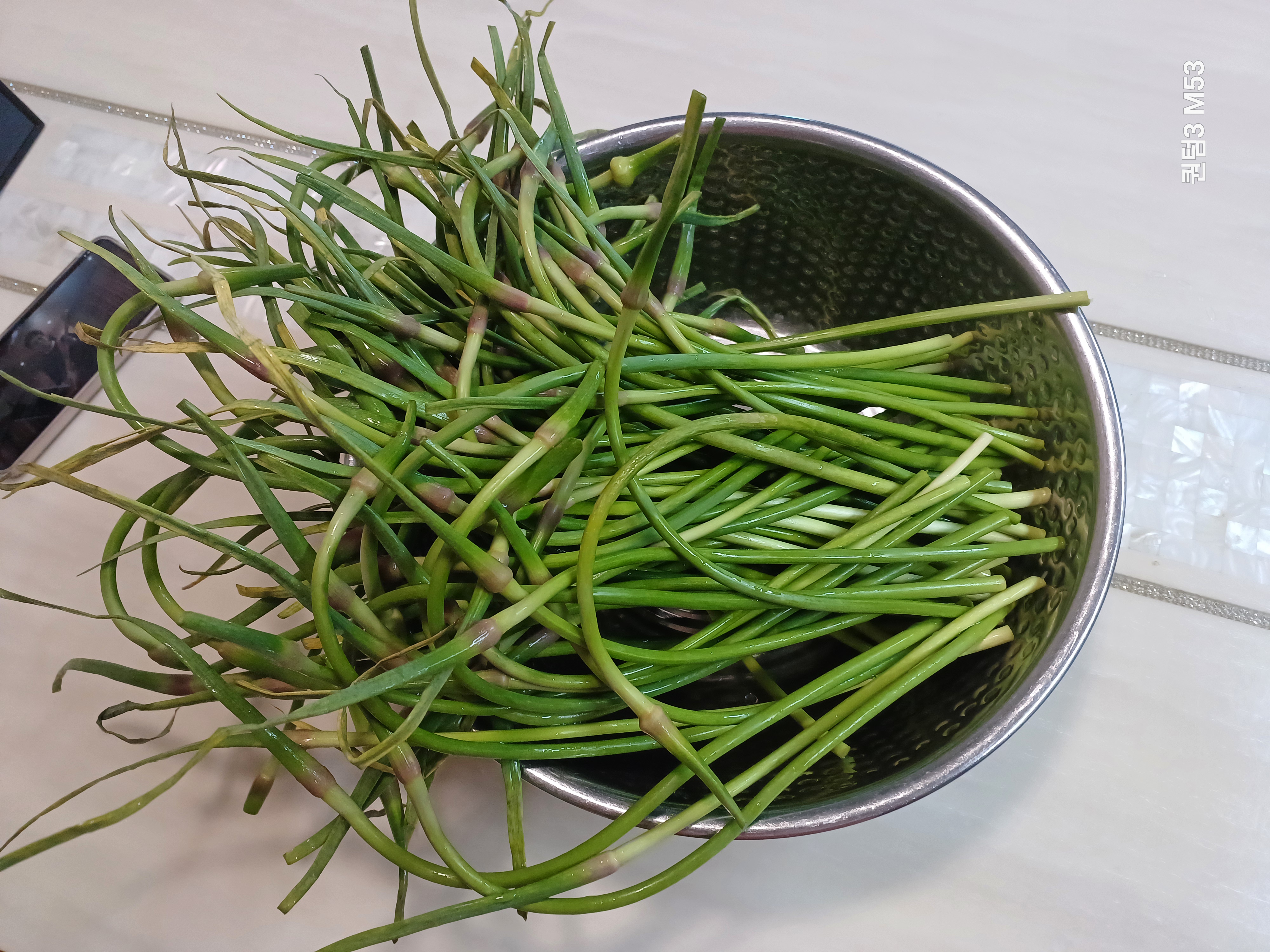 세척이 완료된 공주산 마늘쫑