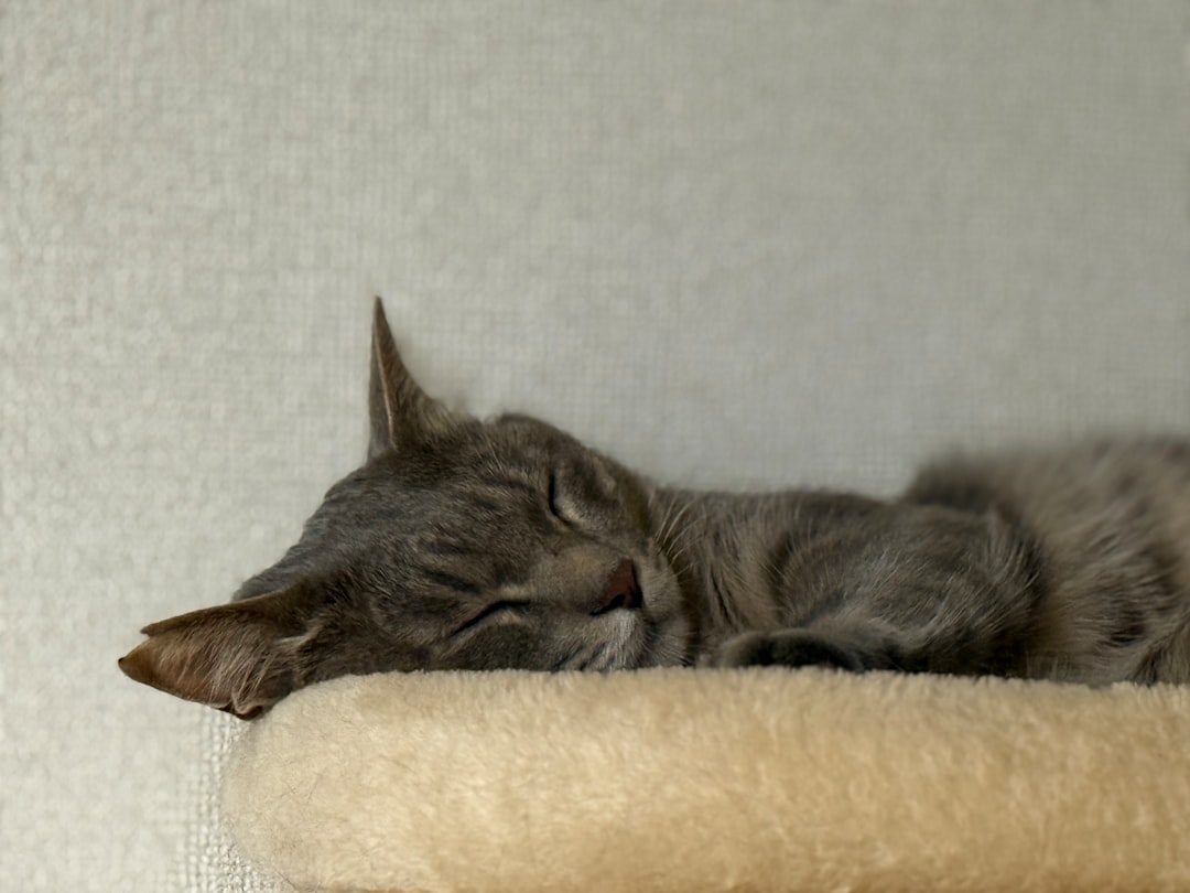 Sleep position
