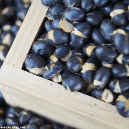 검은콩