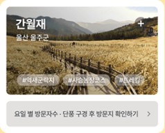 단풍여행지 추천