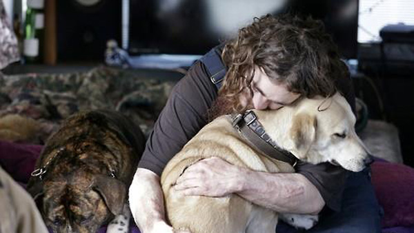 슬픔을 교감하는 강아지관련 사진