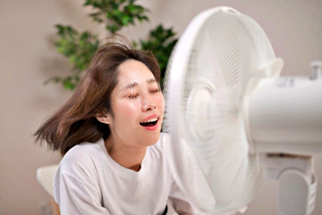 어린시절의 추억 놀이 10가지 선풍기 앞에서 아 소리내기, 재밌는 팁줌 매일꿀정보