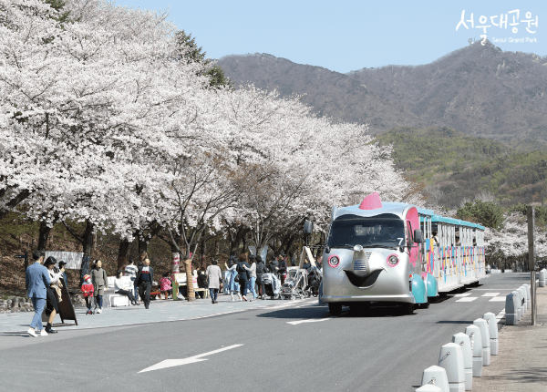 벚꽃길산책로