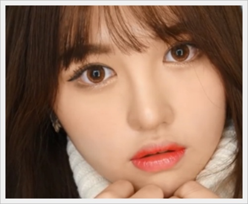 다또아 프로필