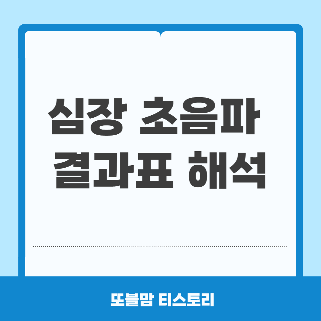 심장초음파 결과표 해석
