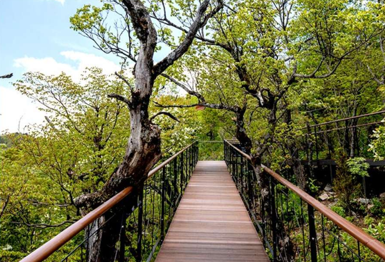 발왕수 가든 산책길