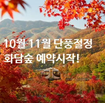 화담숲 단풍 절정시기 예약 방법까지 정리_14