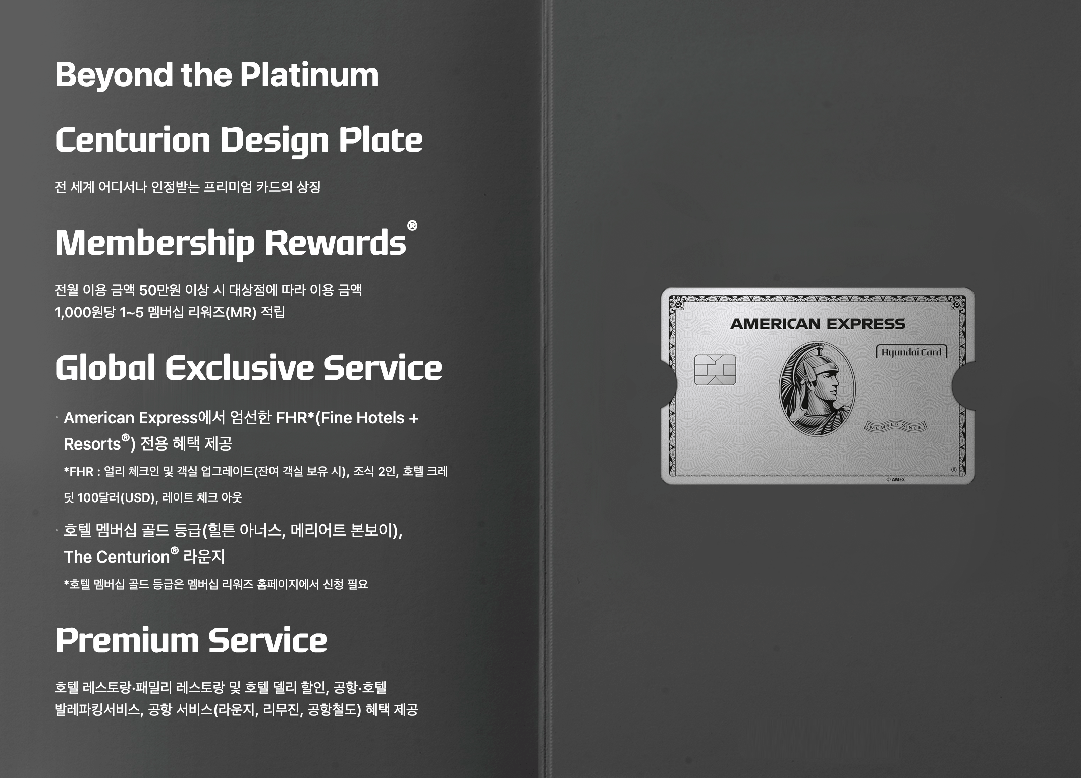 현대카드 아멕스 플래티넘