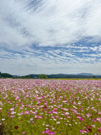 연천 가볼만한곳 베스트10 추천 명소_18