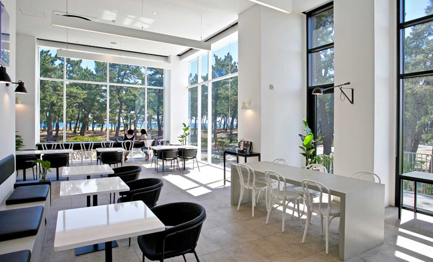 강릉 아비오호텔