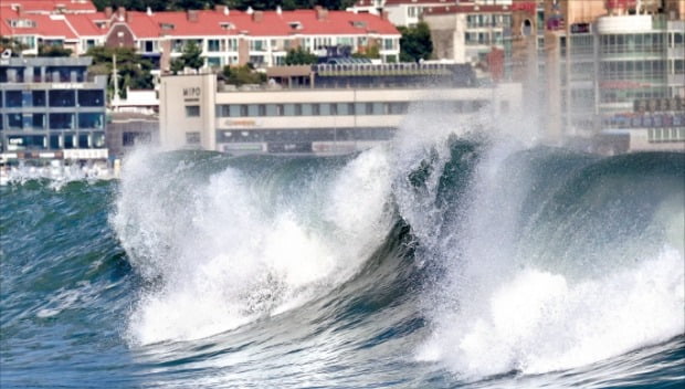 힌남노, 제주도