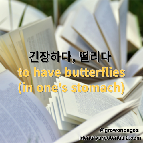 긴장하다, 떨리다, 설레서 배가 울렁거리다 have butterflies