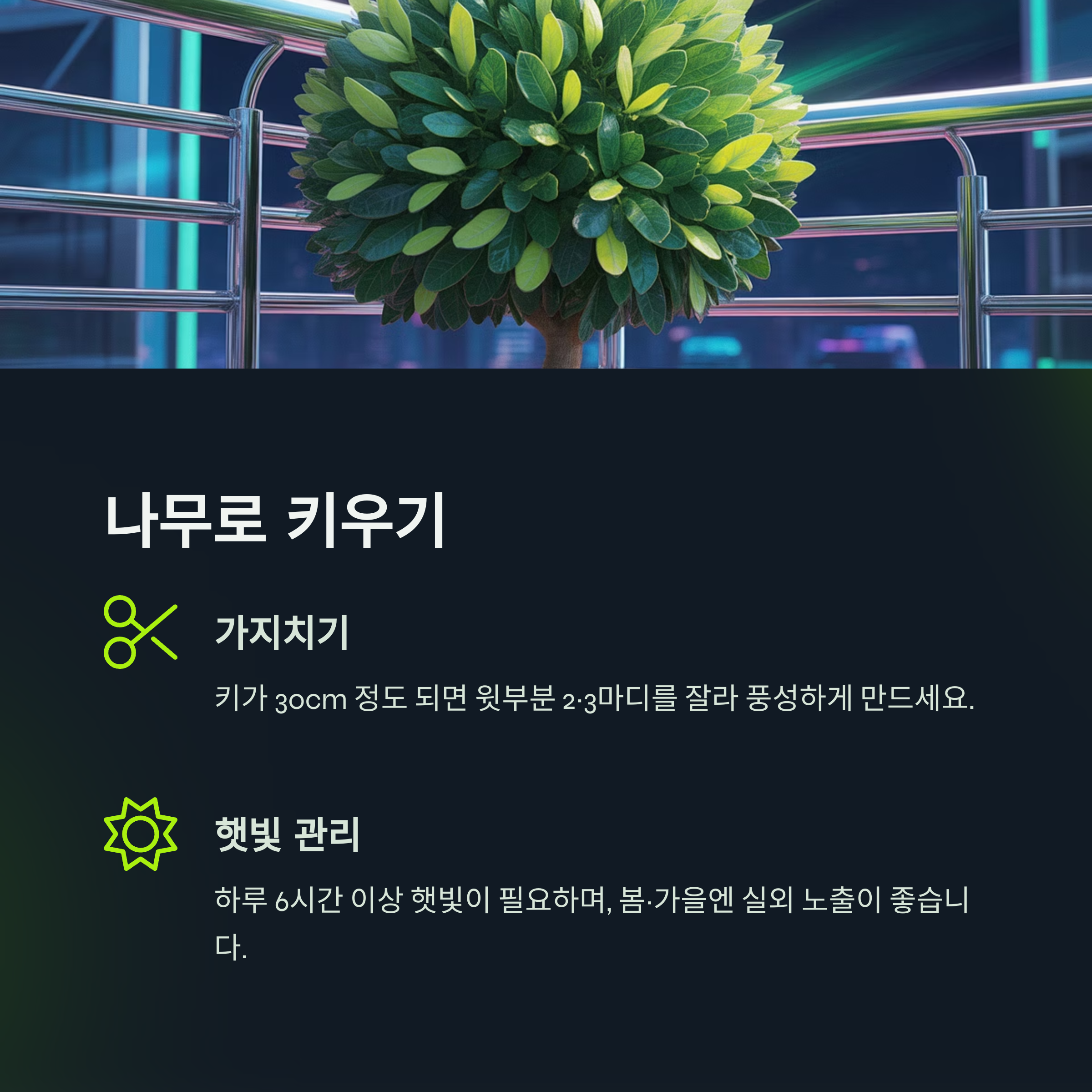 3단계: 나무처럼 키우기 위한 가지치기와 햇빛 조절