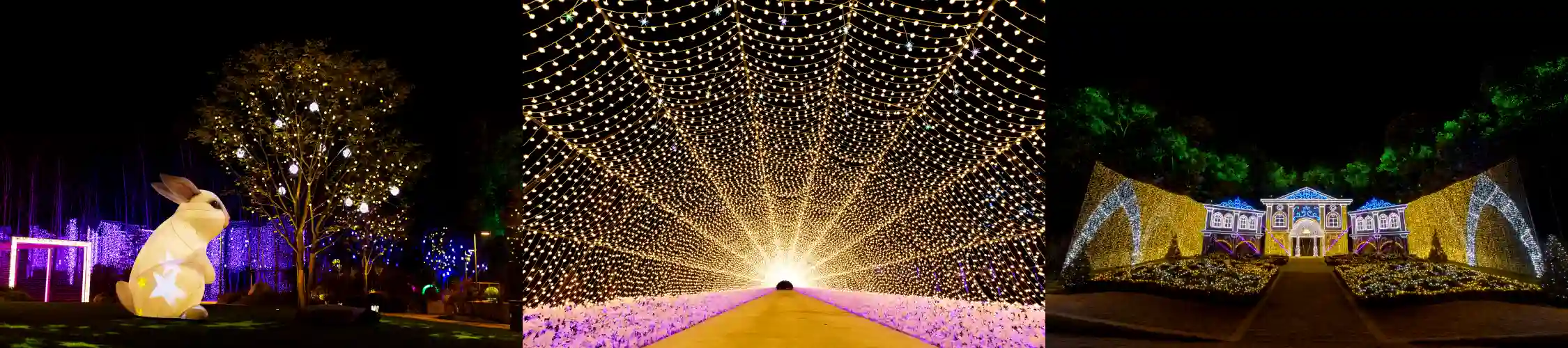 별빛정원 우주 사진