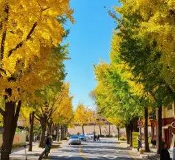 삼청동길