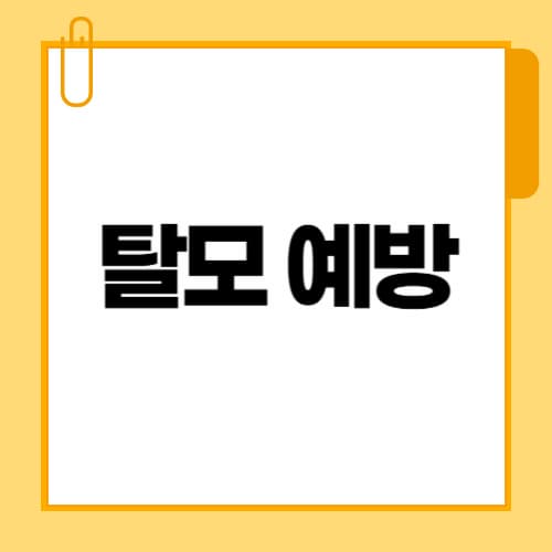 탈모 예방 방법 총정리 ❘ 샴푸·음식·영양제까지 완벽 가이드