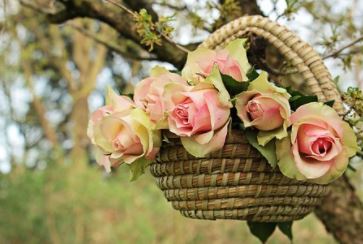 생일축하 메시지 모음
28