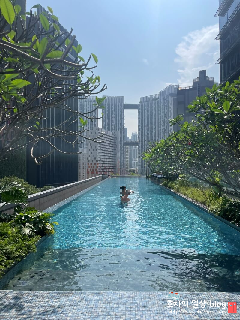 소피텔 싱가포르 시티센터 수영장 전경