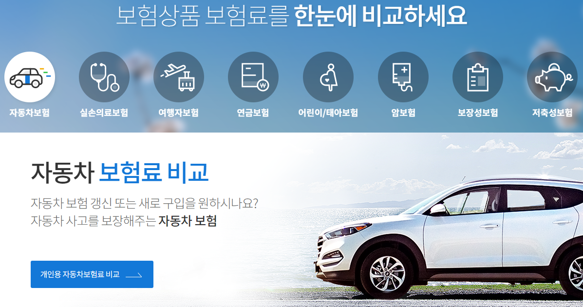 2024년 자동차 보험료