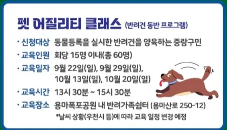 반려견 펫 어질리티 클래스 중랑구