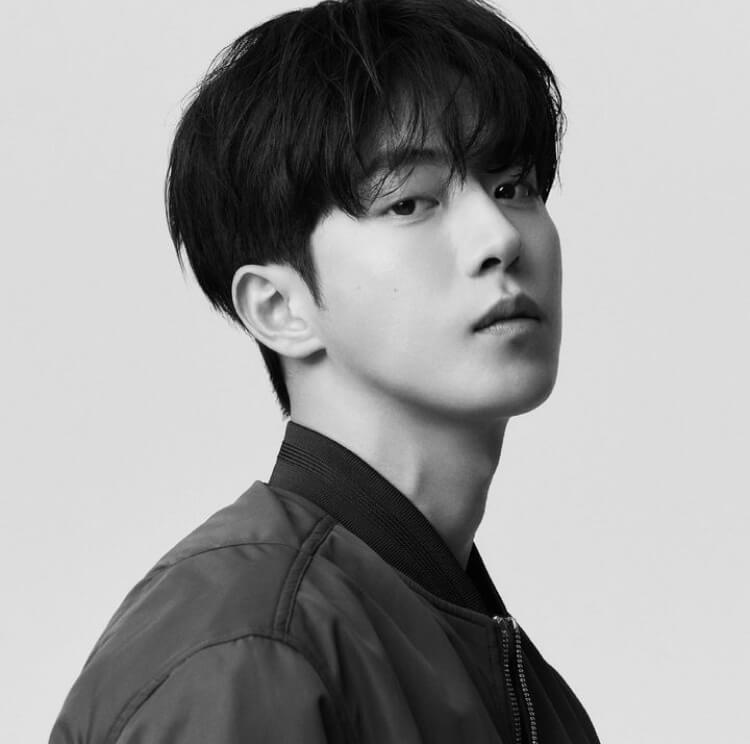 비질란테 뜻 드라마 출연진(원작 웹툰 보기)