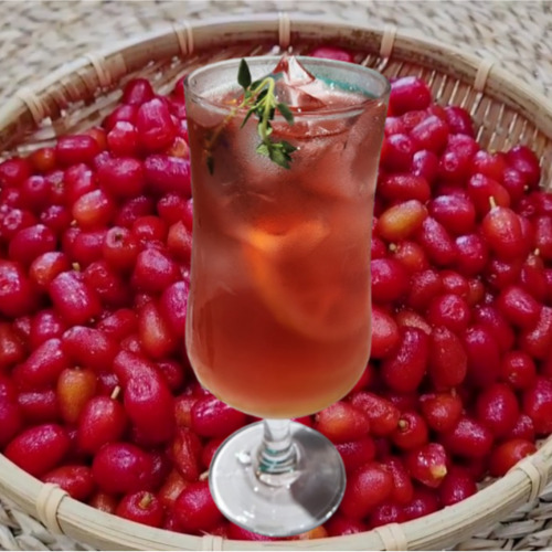 보리수청 보리수에이드 만들기